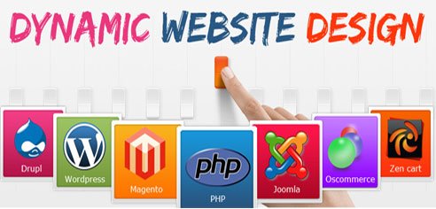 Dynamic website designing services